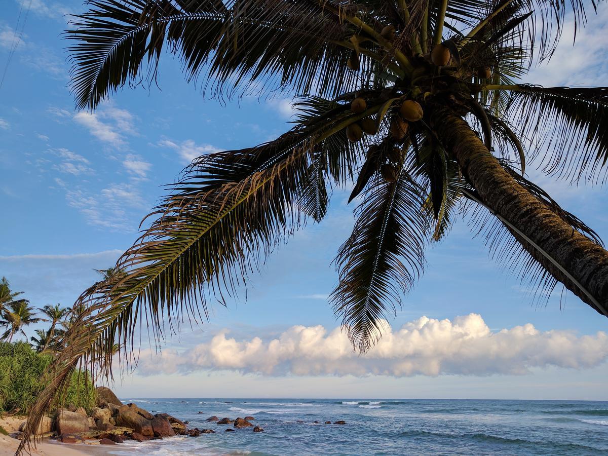 Malee Villa Matara Bagian luar foto